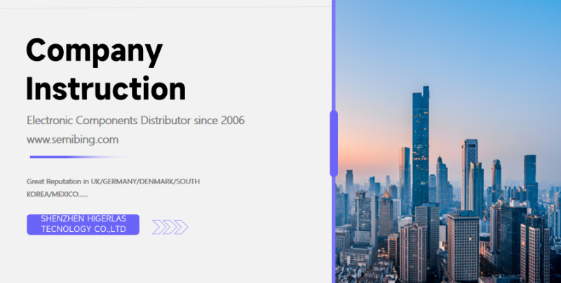 SEMIBING COMPANY